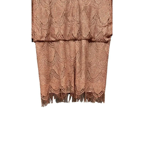 S.L. Fashions Pink Sparkly Fringe Taylor Swift Eras Tour Dress - Picture 4 of 8